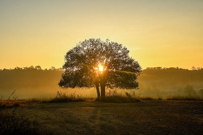 The Sacred in the Small: How Everyday Moments Become Holy Ground for First Lutheran OKC Members